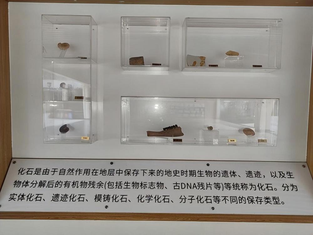 1670920641717658.jpg