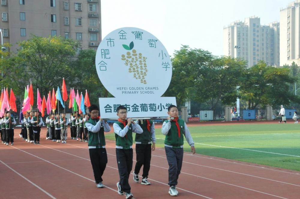 1698912600413821.jpg