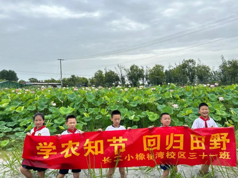 �Ϸ��г���С�����壺ѧũ֪�ڣ��ع���Ұ