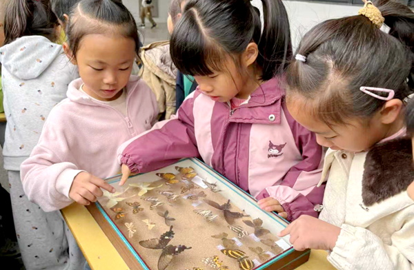 ���ر�ɽСѧ����ͯ�����������顱 �����������̬