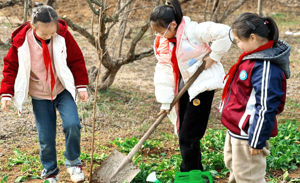 ������Դ���ݹ��̼����һʵС��ɽ��Уʵ���������ɱ�