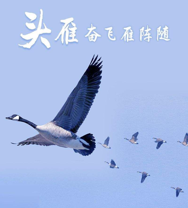 ����26�ˣ�����������ȫ��������ͷ�㡱��ʦ����