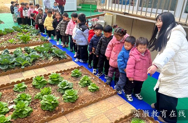 ʯ������׶�԰��������԰̽�أ�����ʵ����Ȥ