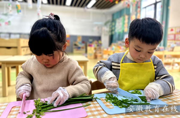 �����׶�԰���û�����԰��չ���⡱���������