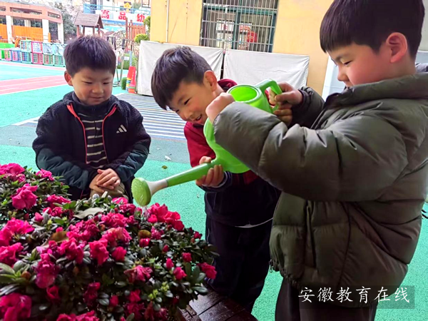 �����׶�԰�����࿪չֲ��������