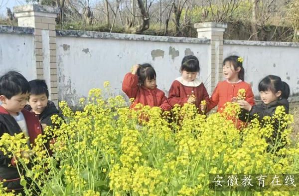 ���������׶�԰��չ���ⴺ��ʵ���