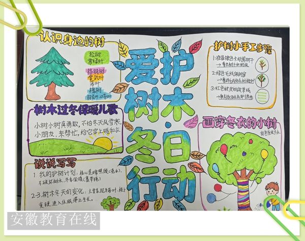 ʮ������ѧУ��չ�����Ļ�����ľ������ѧ��ʵ���