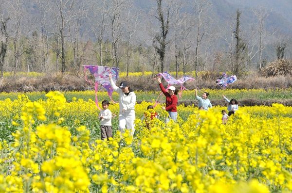 ���أ����贺�� �ŷ�����