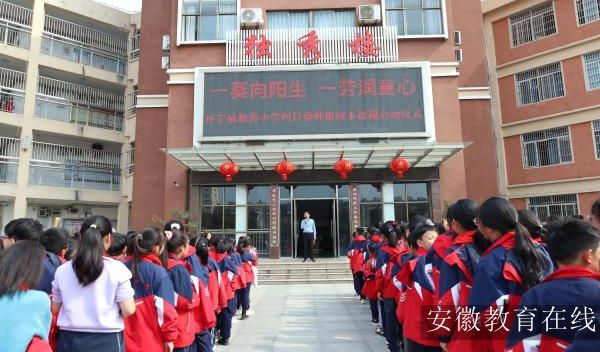 �����ض���Сѧ���С����տ���ֲ��У���Ͷ��γ�������ʽ