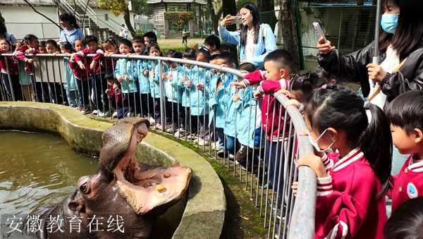 ʯ������׶�԰��չ����̤��