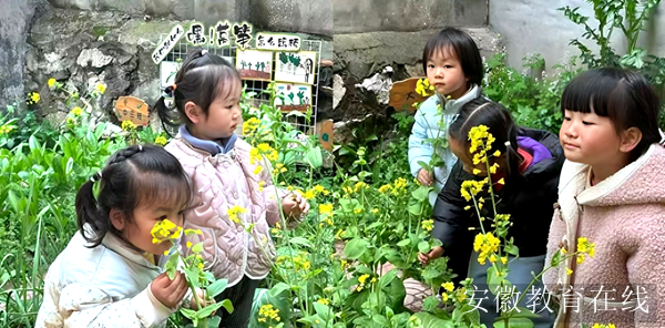 �����׶�԰�аഺ�����������˴��շ��� ����������Ȼ